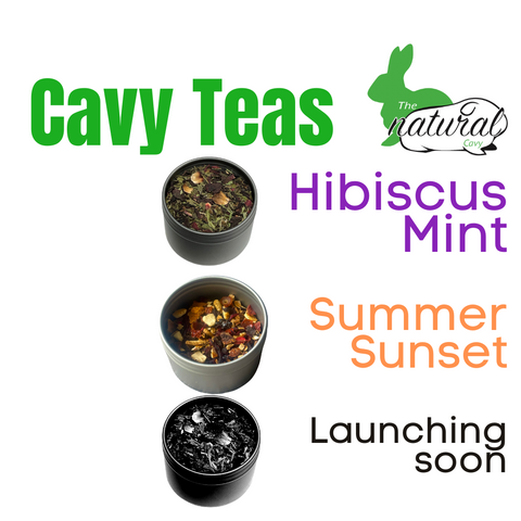 Hibiscus Mint Cavy Tea Foraging Blend