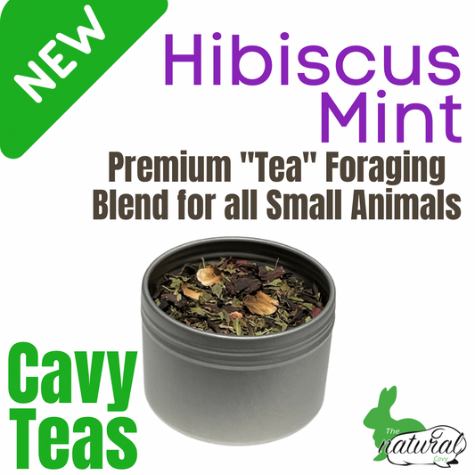 Hibiscus Mint Cavy Tea Foraging Blend