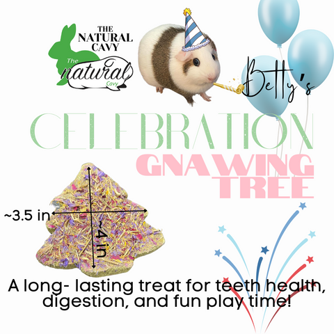 Betty’s Celebration Tree Gnawing Block / Guinea Pig and Rabbit long lasting treat / wears down teeth