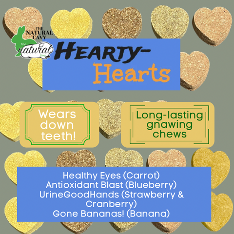 Hearty-Hearts Hay Gnawing Hearts / Guinea Pig Gnawing Treats / Rabbit Treats