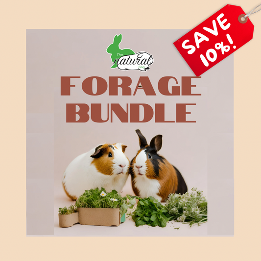 Foraging Blend Bundle