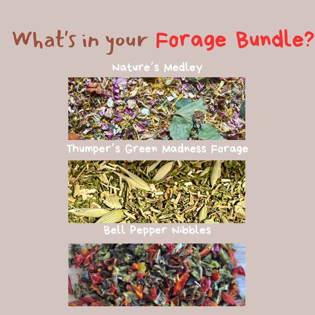 Foraging Blend Bundle