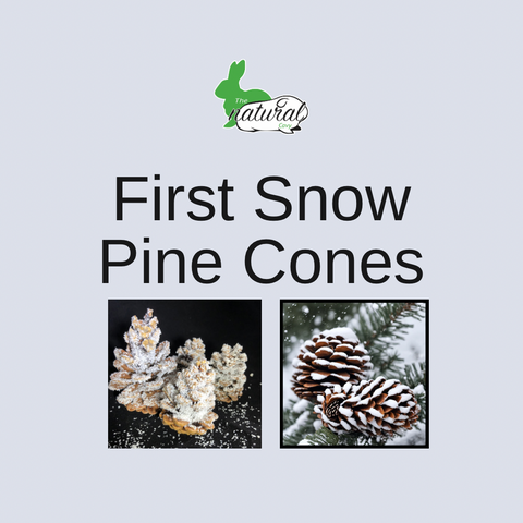 First Snow Pine Cones