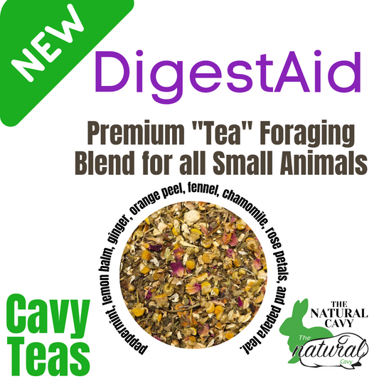 DigestAid Cavy Tea Foraging Blend