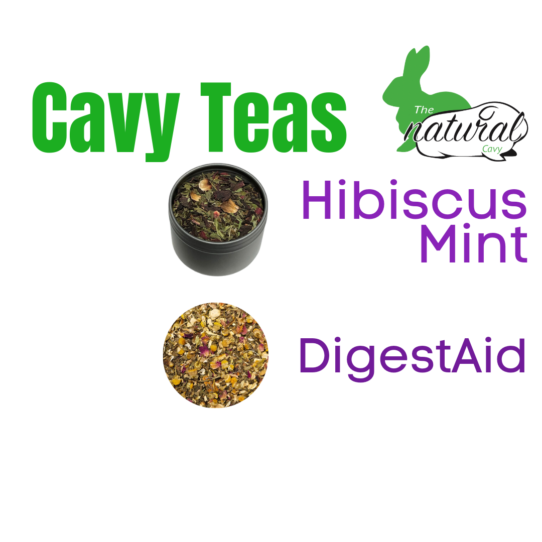 Hibiscus Mint Cavy Tea Foraging Blend